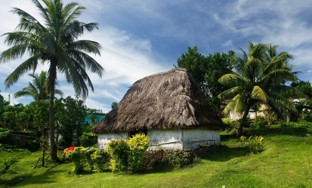 Fiji by Donyanedomam/123rf