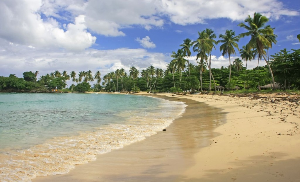 Rincon beach Dominikanska Republika by Donyanedoman 123rf