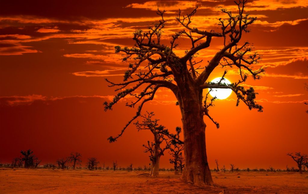 Credits: Africa by Lunamarina/Can Stock Photos