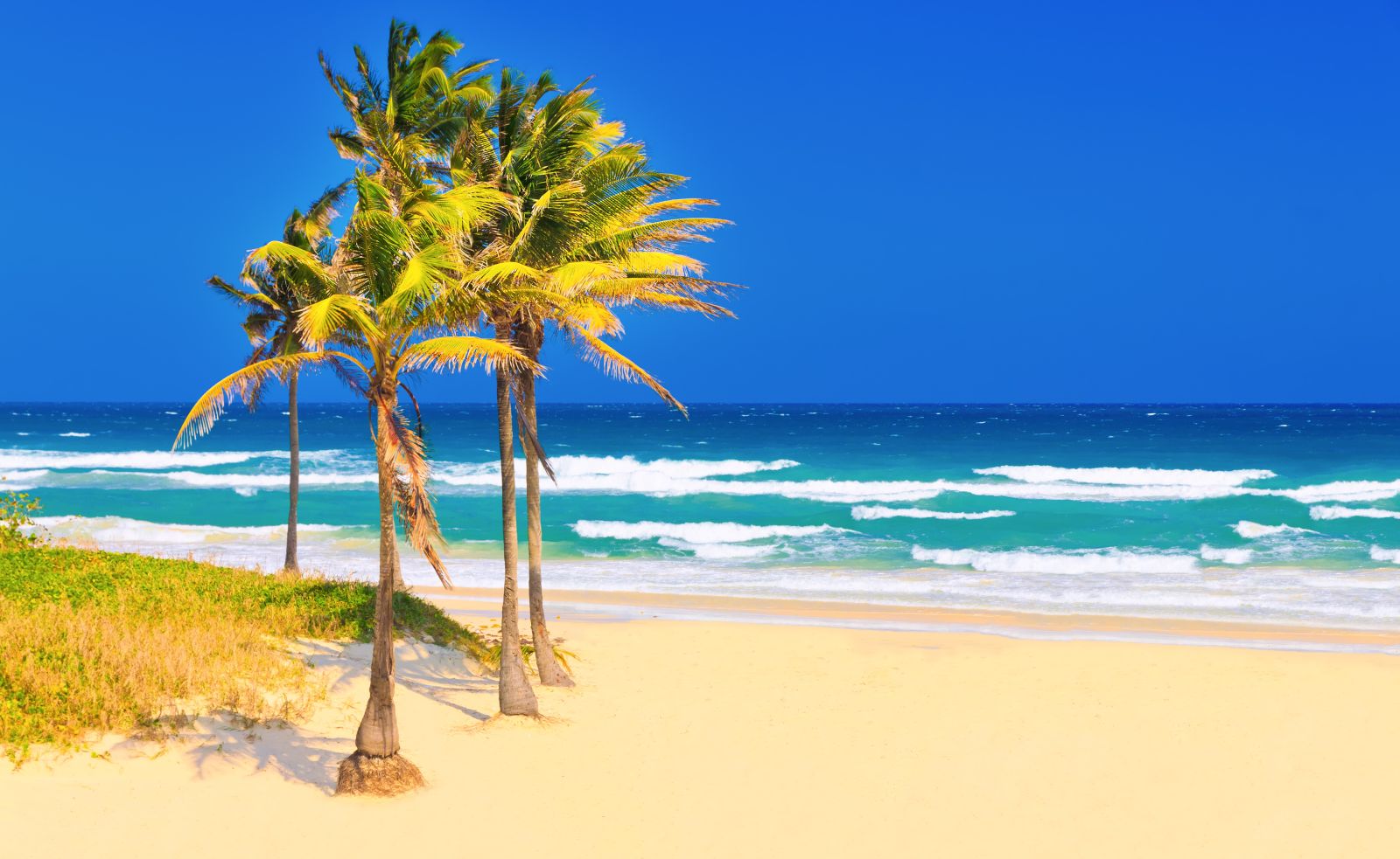 Varadero Kuba by Kmiragaya depositphotos