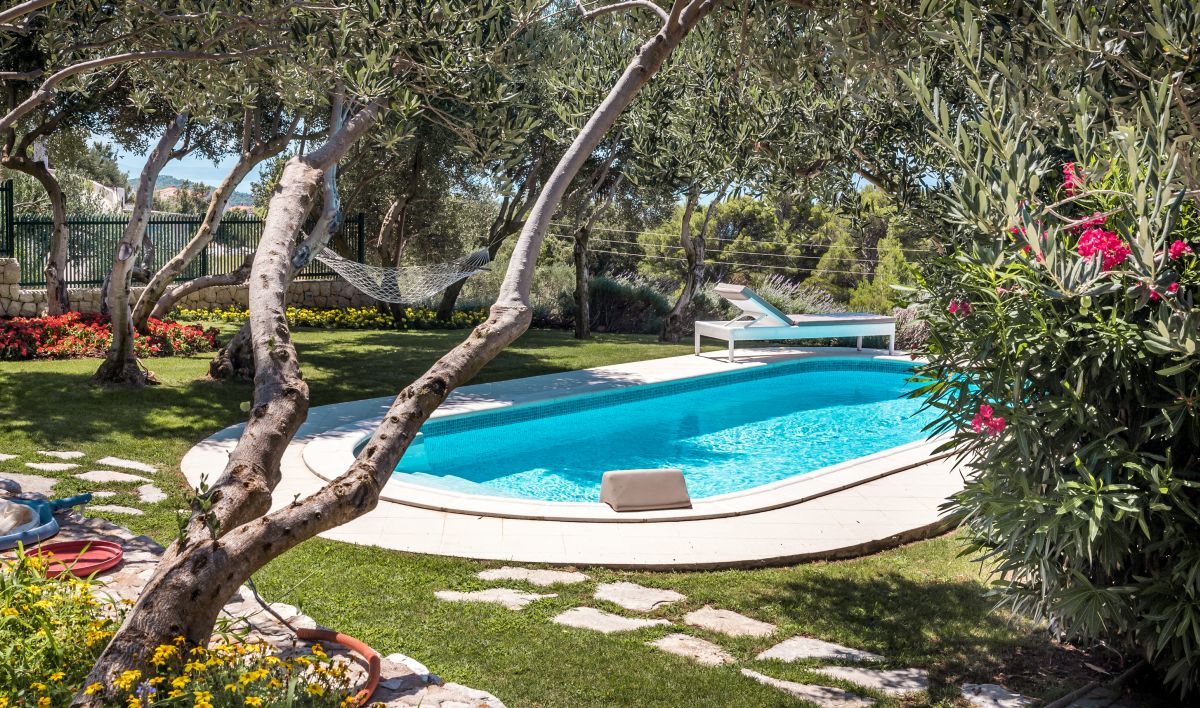 Villa travel hotel bazen by andycandy bigstockphoto