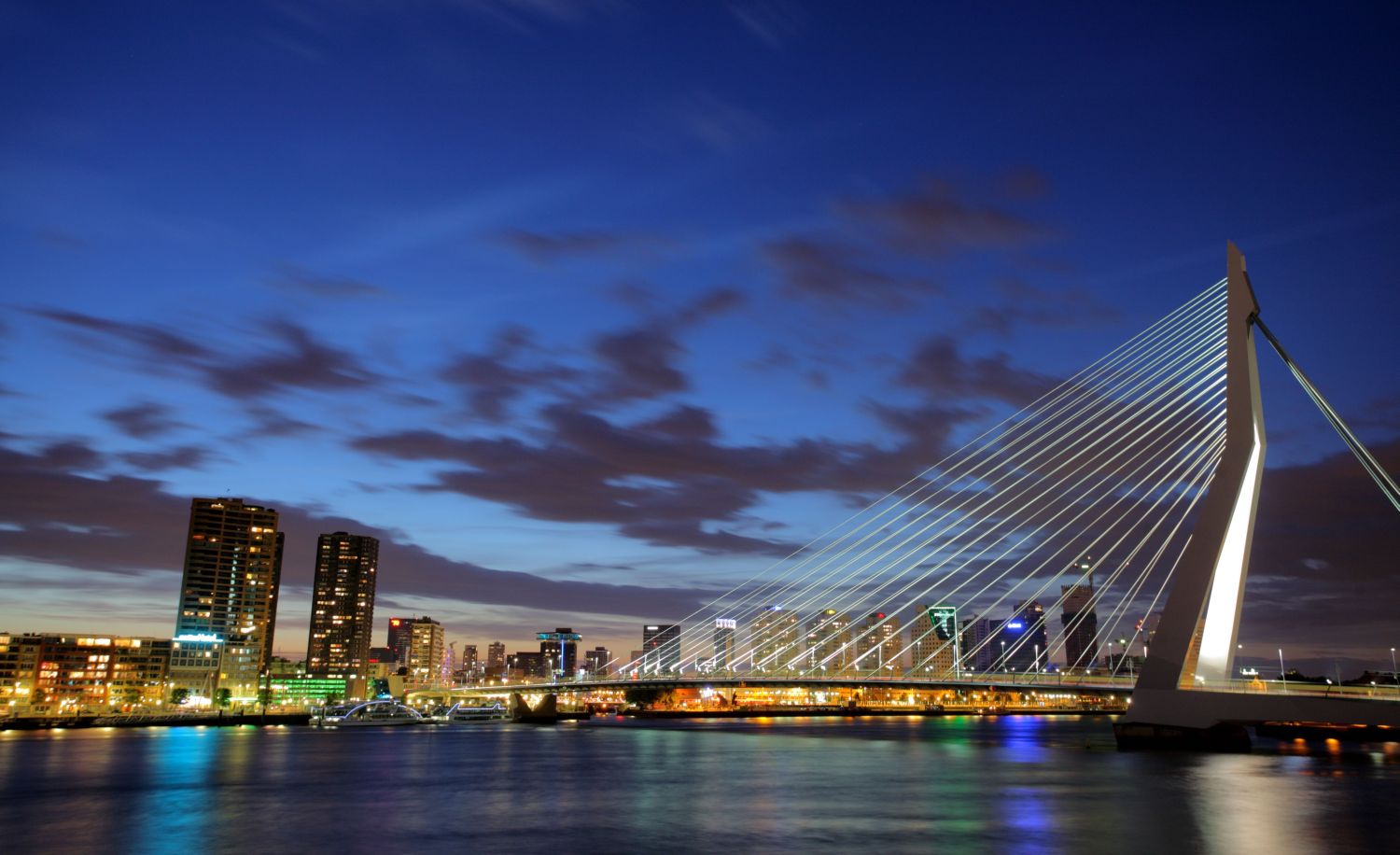 Rotterdam by Ljupco Smokovski 123rf