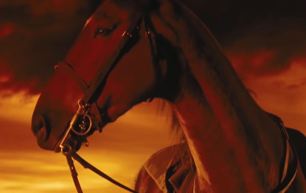 warhorse
