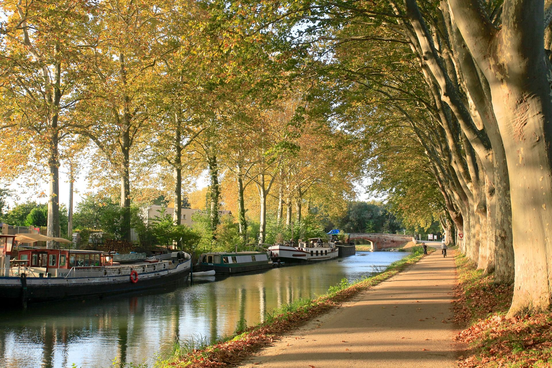 toulouse from pixabay