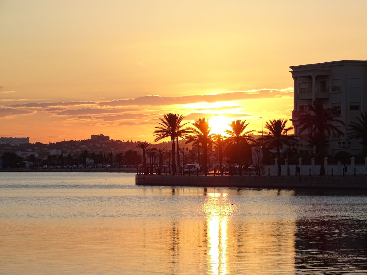Tunisia Tunis by ziedkammoun from pixabay