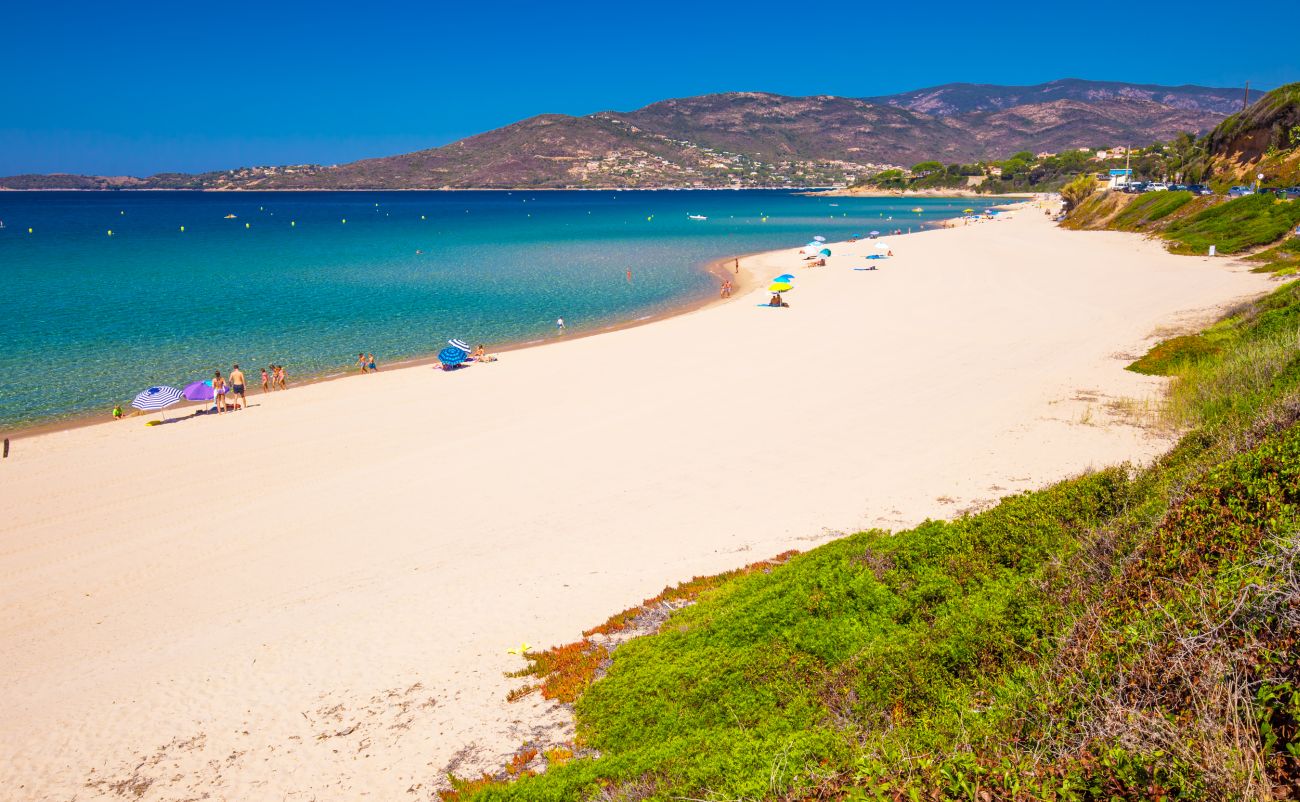 Korzika sagone beach by eva bocek dreamstime