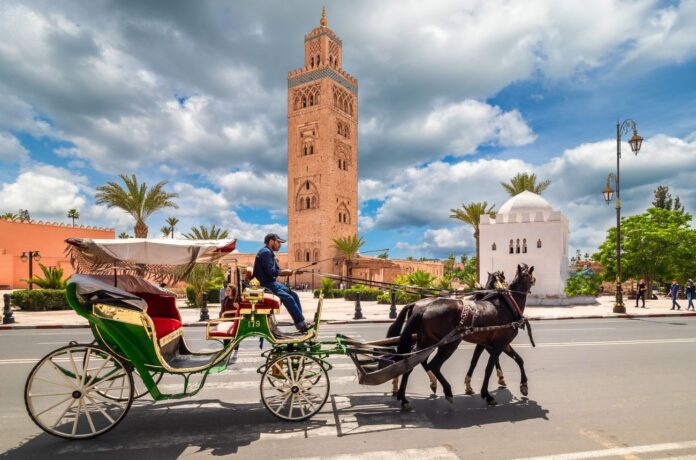 Marrakech by dorinmarius dreamstime 1